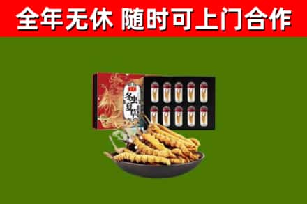 屏山县回收冬虫夏草价格